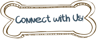 Connect with Us!