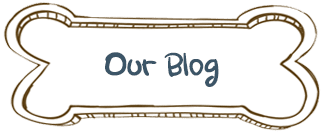 Our Blog