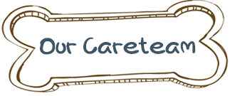 Our Careteam