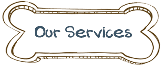 Our Services