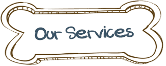 Our Services