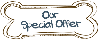 Our Special Offer