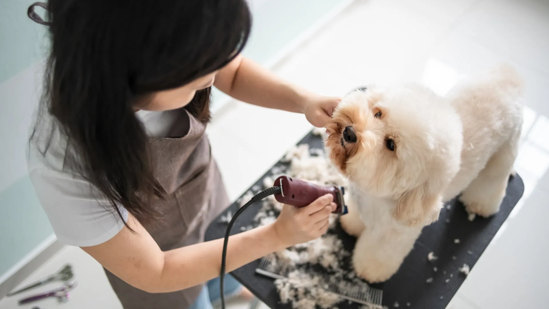 Grooming