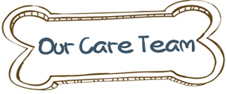 Our Care Team